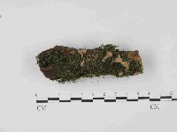 登錄號:F0014648藏品圖，第1張