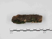 登錄號:F0014648藏品圖，第3張