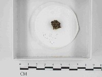 登錄號:F0014649藏品圖，第1張