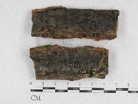 登錄號:F0014656藏品圖，第1張