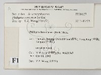 登錄號:F0014657藏品圖，第2張