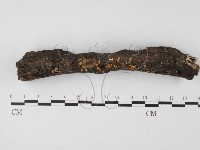 登錄號:F0014657藏品圖，第1張