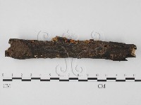 登錄號:F0014657藏品圖，第3張