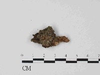 登錄號:F0014658藏品圖，第1張
