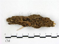 登錄號:F0014660藏品圖，第1張
