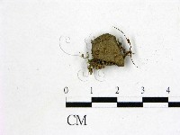 登錄號:F0014661藏品圖，第3張