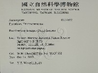 登錄號:F0014662藏品圖，第2張
