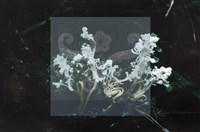 登錄號:F0014662藏品圖，第4張