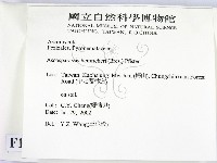 登錄號:F0014666藏品圖，第2張