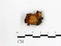 登錄號:F0014666藏品圖，第3張