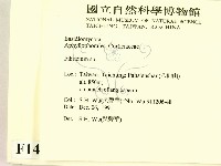 登錄號:F0014668藏品圖，第2張