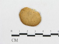 登錄號:F0014670藏品圖，第3張