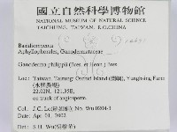 登錄號:F0014671藏品圖，第2張