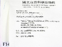 登錄號:F0014672藏品圖，第2張