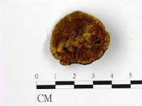 登錄號:F0014672藏品圖，第1張