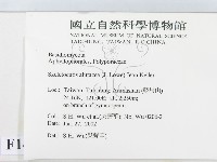 登錄號:F0014677藏品圖，第2張