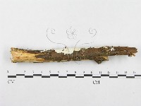 登錄號:F0014677藏品圖，第1張