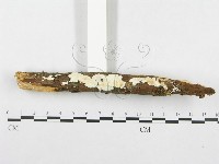 登錄號:F0014677藏品圖，第3張