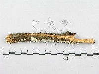 登錄號:F0014677藏品圖，第4張