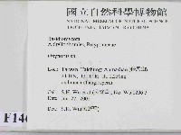 銳孔菌屬藏品圖，第2張