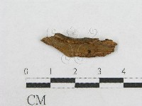 登錄號:F0014680藏品圖，第4張