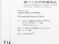 登錄號:F0014681藏品圖，第2張