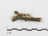 登錄號:F0014681藏品圖，第3張