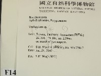 附毛菌屬藏品圖，第2張