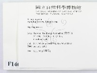 硬孔菌屬藏品圖，第2張