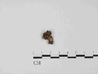 登錄號:F0014684藏品圖，第4張