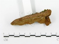 登錄號:F0014685藏品圖，第4張