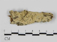 登錄號:F0014687藏品圖，第1張