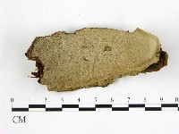 登錄號:F0014690藏品圖，第1張