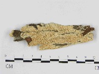 登錄號:F0014691藏品圖，第1張