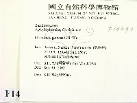 登錄號:F0014693藏品圖，第2張