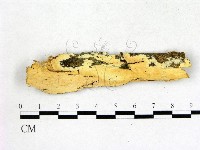 登錄號:F0014693藏品圖，第1張