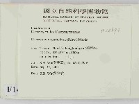 登錄號:F0014694藏品圖，第2張