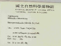 登錄號:F0014695藏品圖，第2張