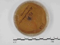 登錄號:F0014695藏品圖，第1張