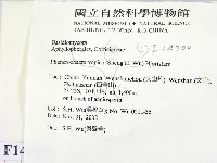 登錄號:F0014700藏品圖，第2張