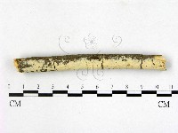 登錄號:F0014701藏品圖，第1張
