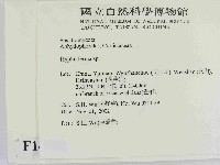 絲皮菌屬藏品圖，第2張