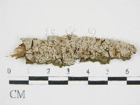 登錄號:F0014705藏品圖，第1張