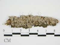 登錄號:F0014705藏品圖，第4張
