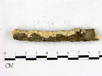 登錄號:F0014706藏品圖，第1張