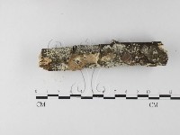 登錄號:F0014710藏品圖，第1張