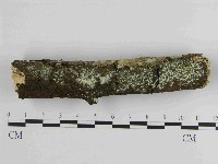 登錄號:F0014710藏品圖，第4張