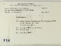 登錄號:F0014711藏品圖，第2張