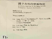 登錄號:F0014712藏品圖，第2張