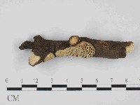 登錄號:F0014712藏品圖，第1張